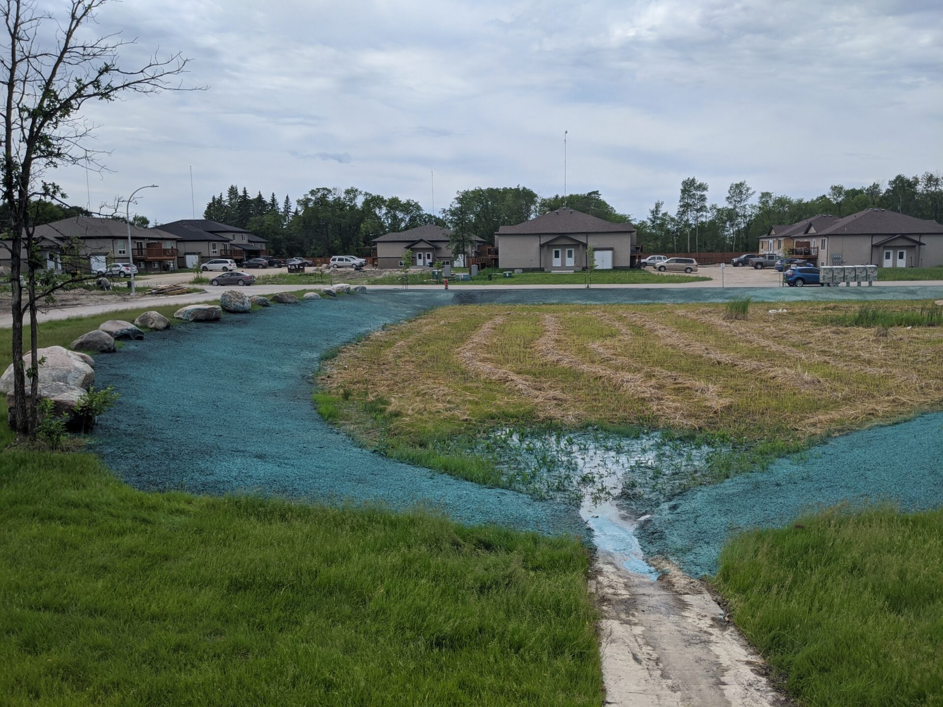 Hydroseeding