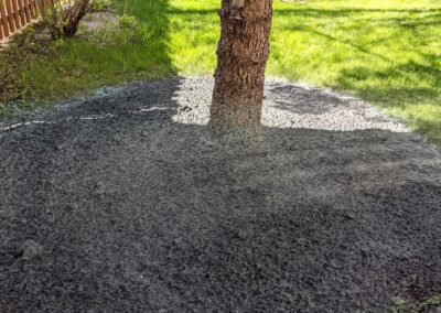 Grass - before