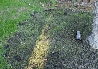 Grass - before