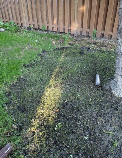 Grass - before
