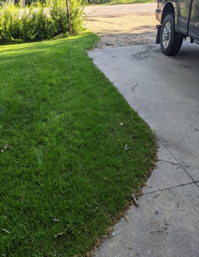 Grass - affer