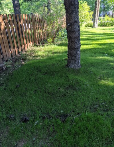 Grass - before