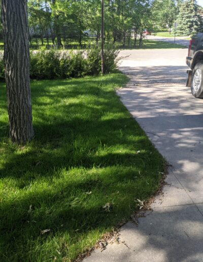 Grass - after